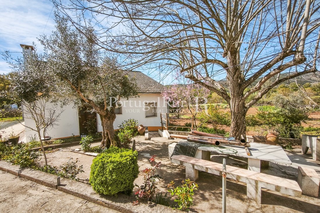 Finca in Se e Sao Lourenco, Portalegre District, Portugal 4 - 17731006