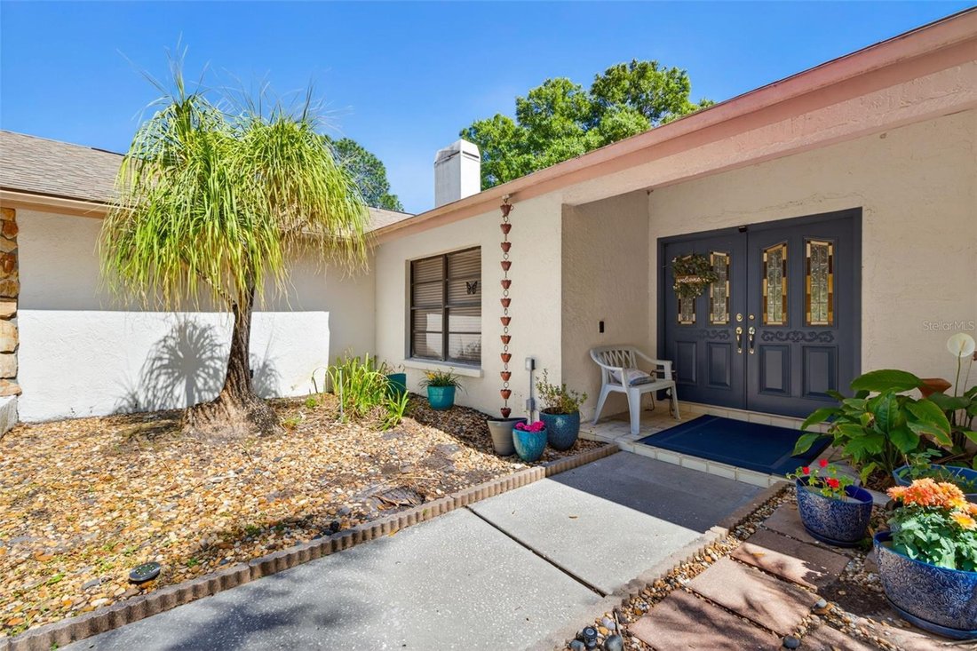 House in Tampa, Florida, United States 4 - 17729902