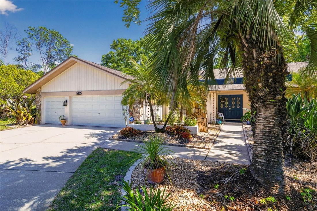 House in Tampa, Florida, United States 3 - 17729902