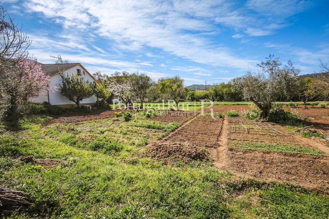 Finca in Se e Sao Lourenco, Portalegre District, Portugal 3 - 17731006