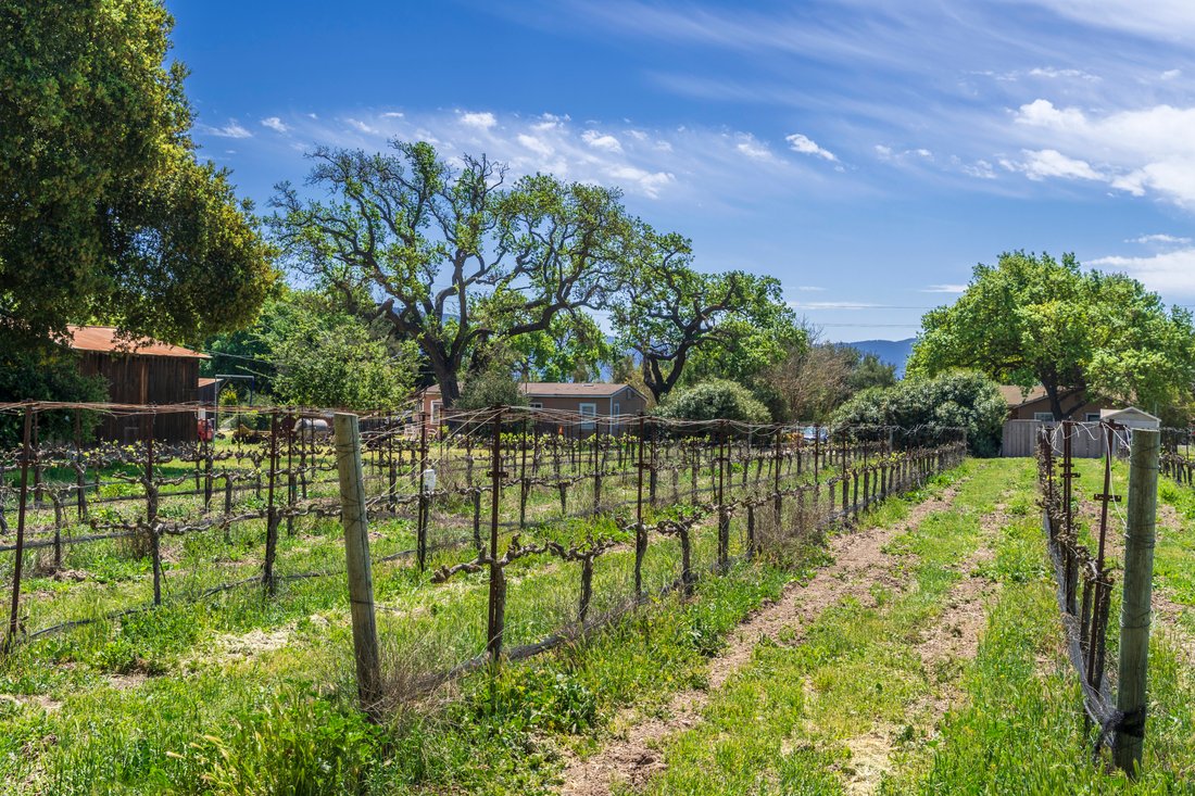 Farm Ranch in Santa Ynez, California, United States 5 - 15576994