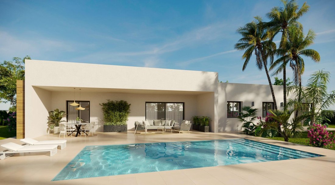 Villa in Aspe, Valencian Community, Spain 1 - 17730858