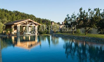 Castelfranco Piandisco, Tuscany, Italy 1