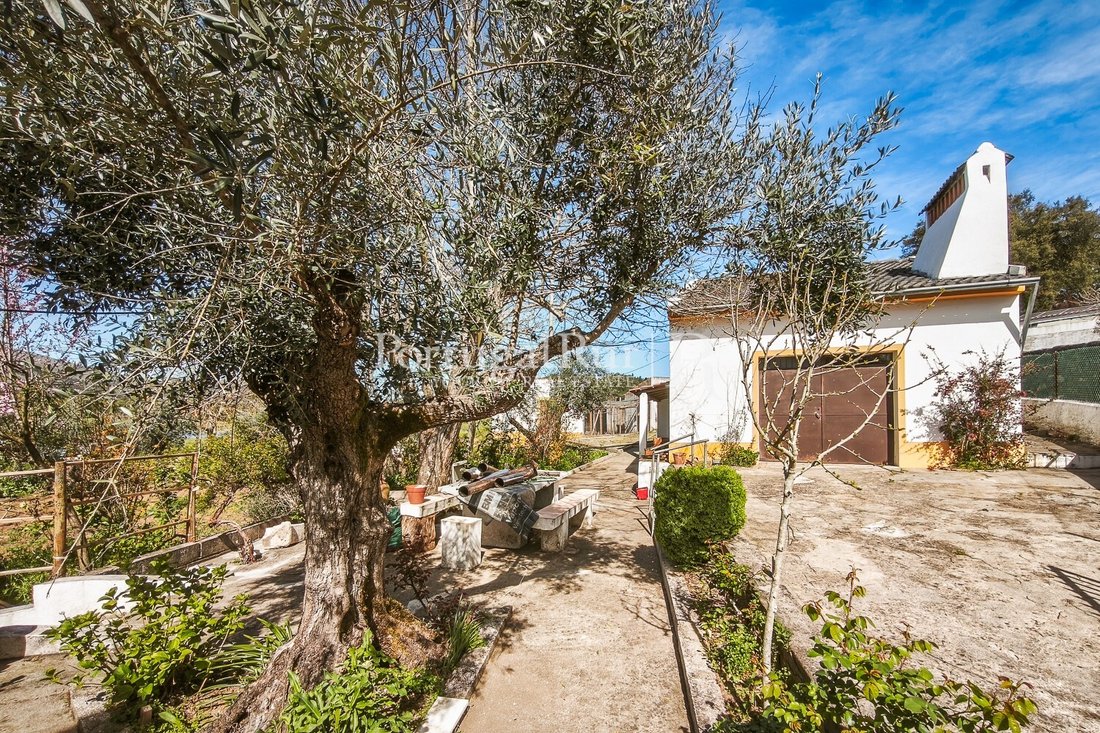Finca in Se e Sao Lourenco, Portalegre District, Portugal 1 - 17731006