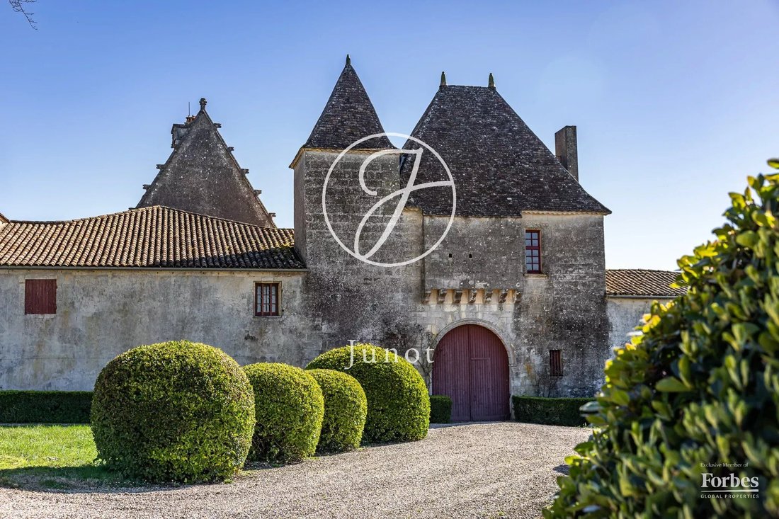 Castle in Belves-de-Castillon, Nouvelle-Aquitaine, France 4 - 17653824