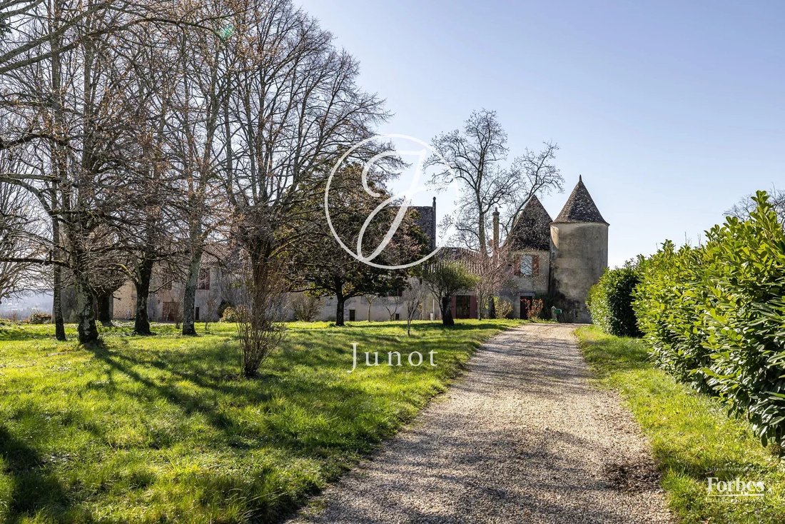 Castle in Belves-de-Castillon, Nouvelle-Aquitaine, France 3 - 17653824
