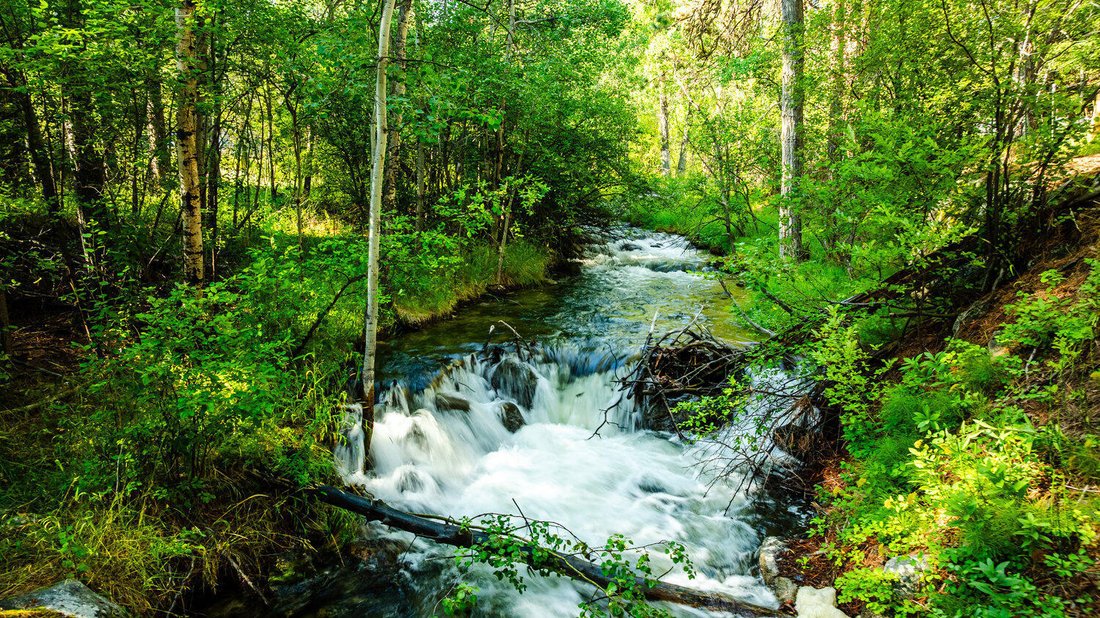 Banner, Wyoming, United States 4 - 17731094