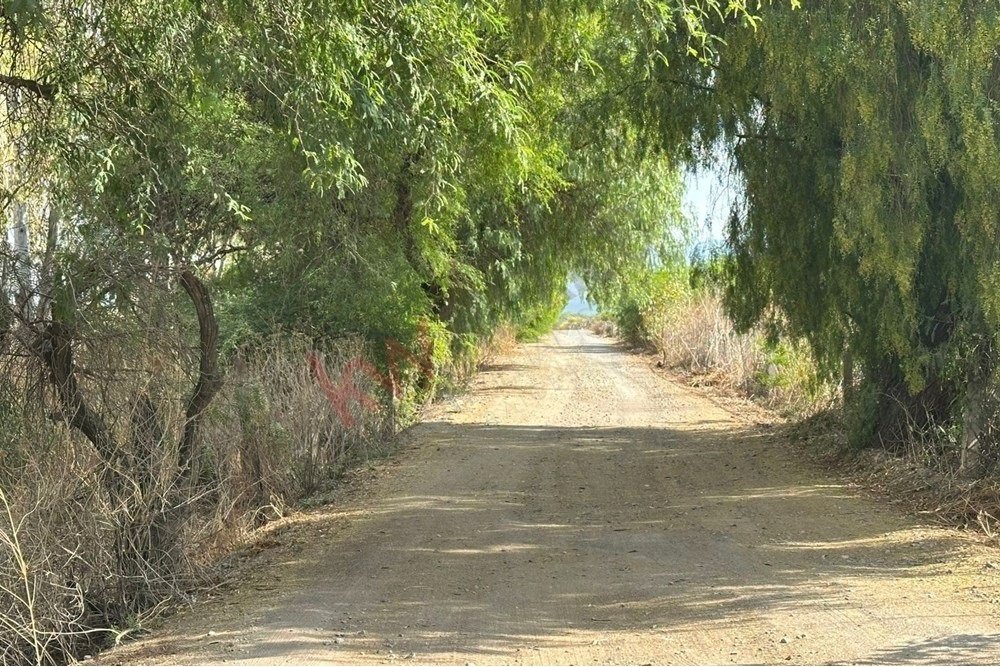 Land in San José Iturbide, Guanajuato, Mexico 4 - 17731338