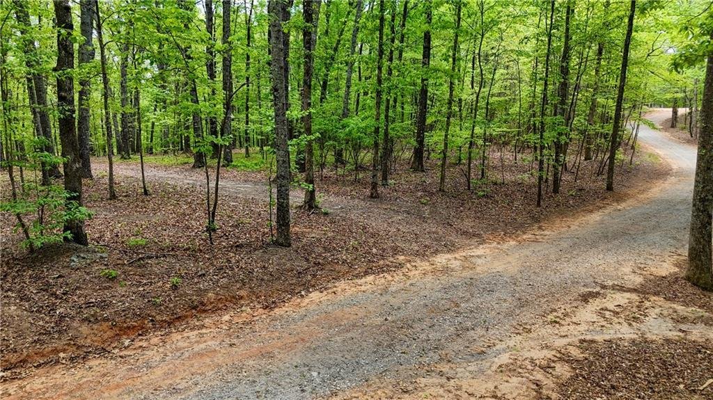 Land in Cumming, Georgia, United States 5 - 17731335