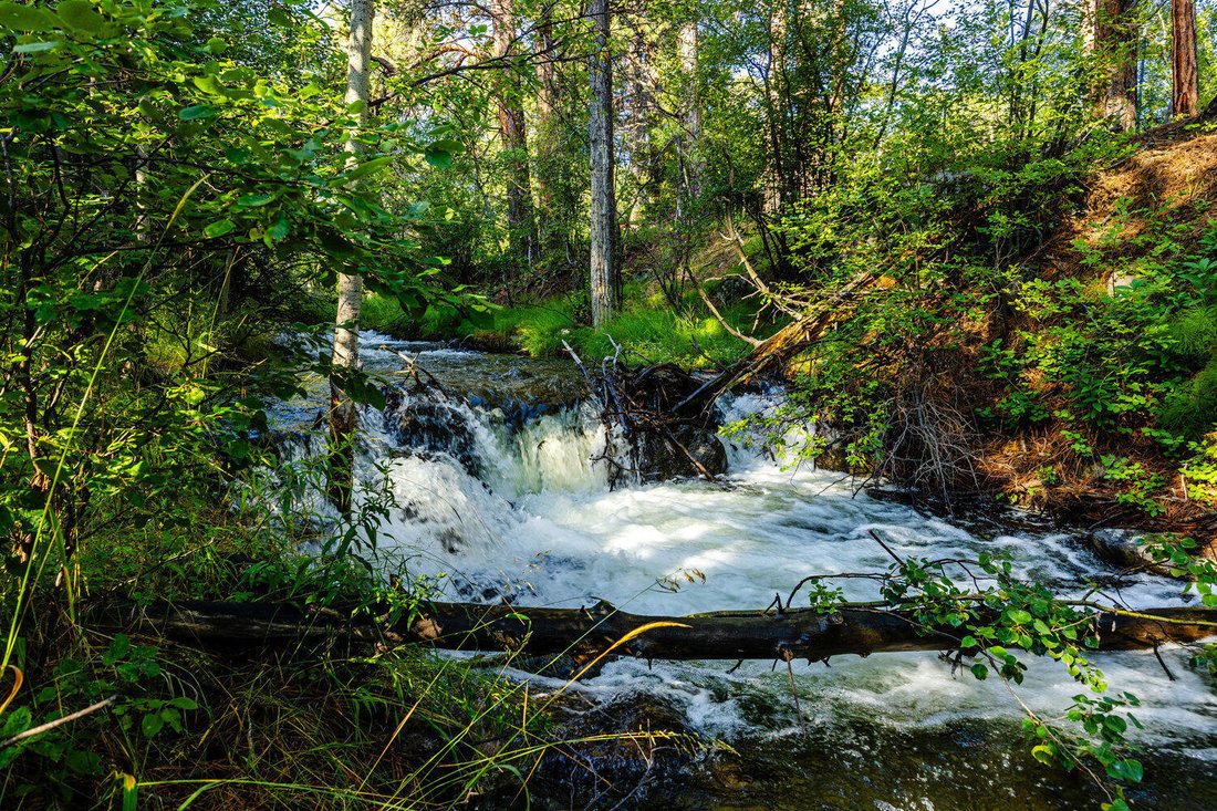 Banner, Wyoming, United States 3 - 17731094