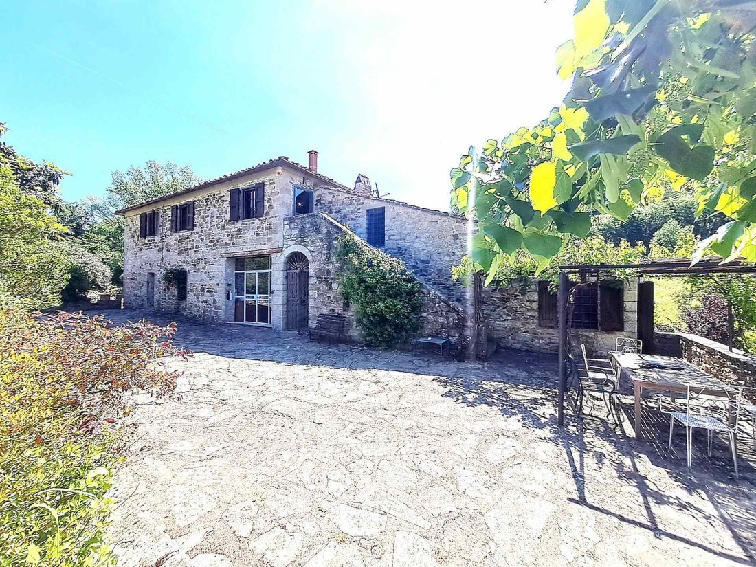 Gaiole in Chianti, Tuscany, Italy 4 - 17731010