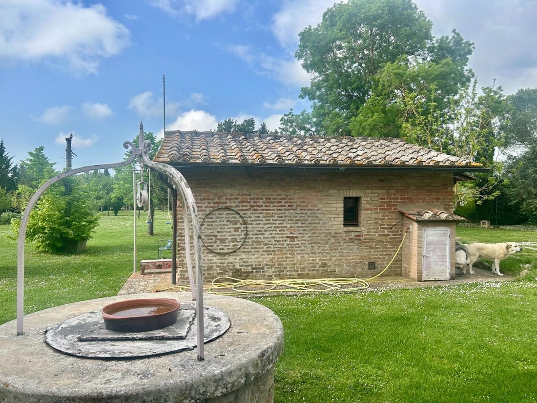 Asciano, Tuscany, Italy 4 - 17730681