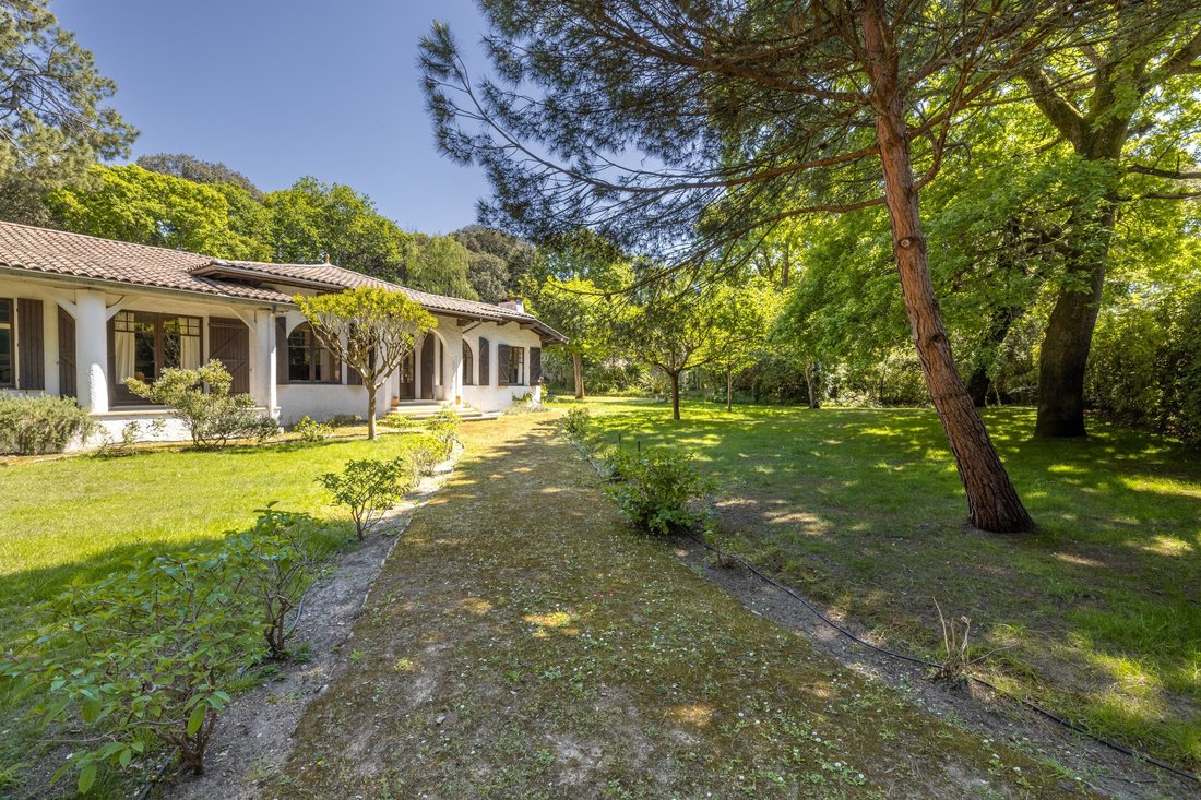 House in Le Pyla, La Teste-de-Buch, France 3 - 17730653