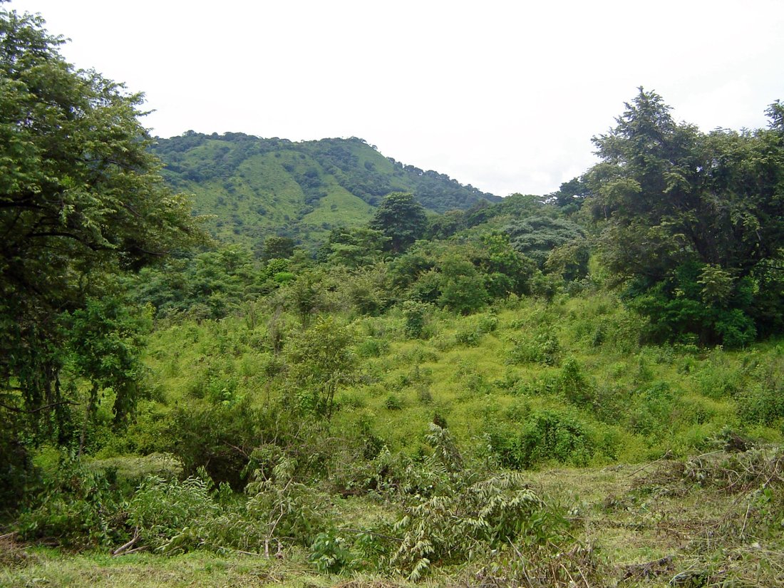 Land in Chame District, Coclé Province, Panama 3 - 17731149