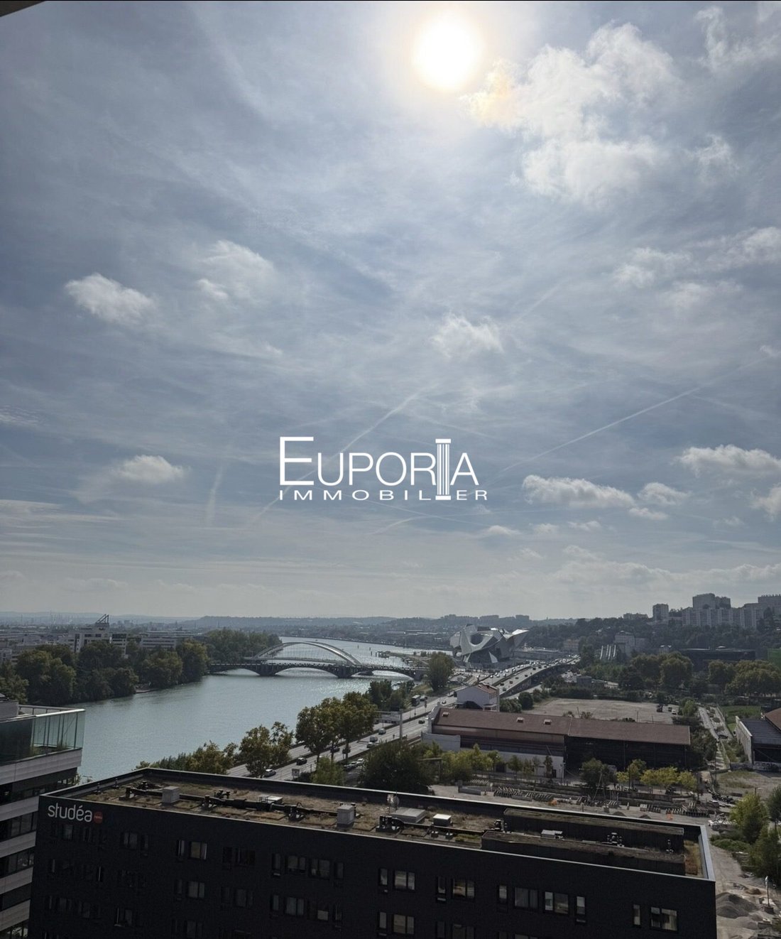 Apartment in Perralière, Lyon, Auvergne-Rhône-Alpes 1 - 17732459