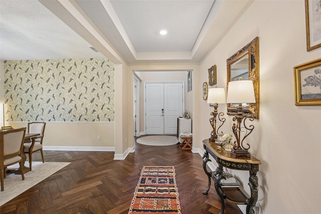 House in Tampa, Florida, United States 3 - 17729919