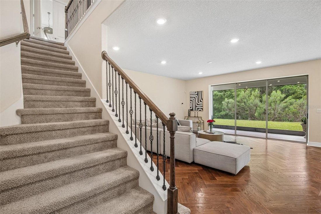 House in Tampa, Florida, United States 4 - 17729919