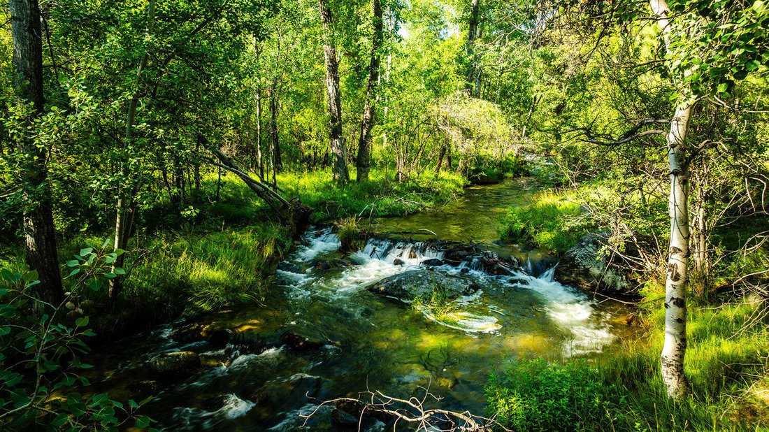 Banner, Wyoming, United States 5 - 17731094