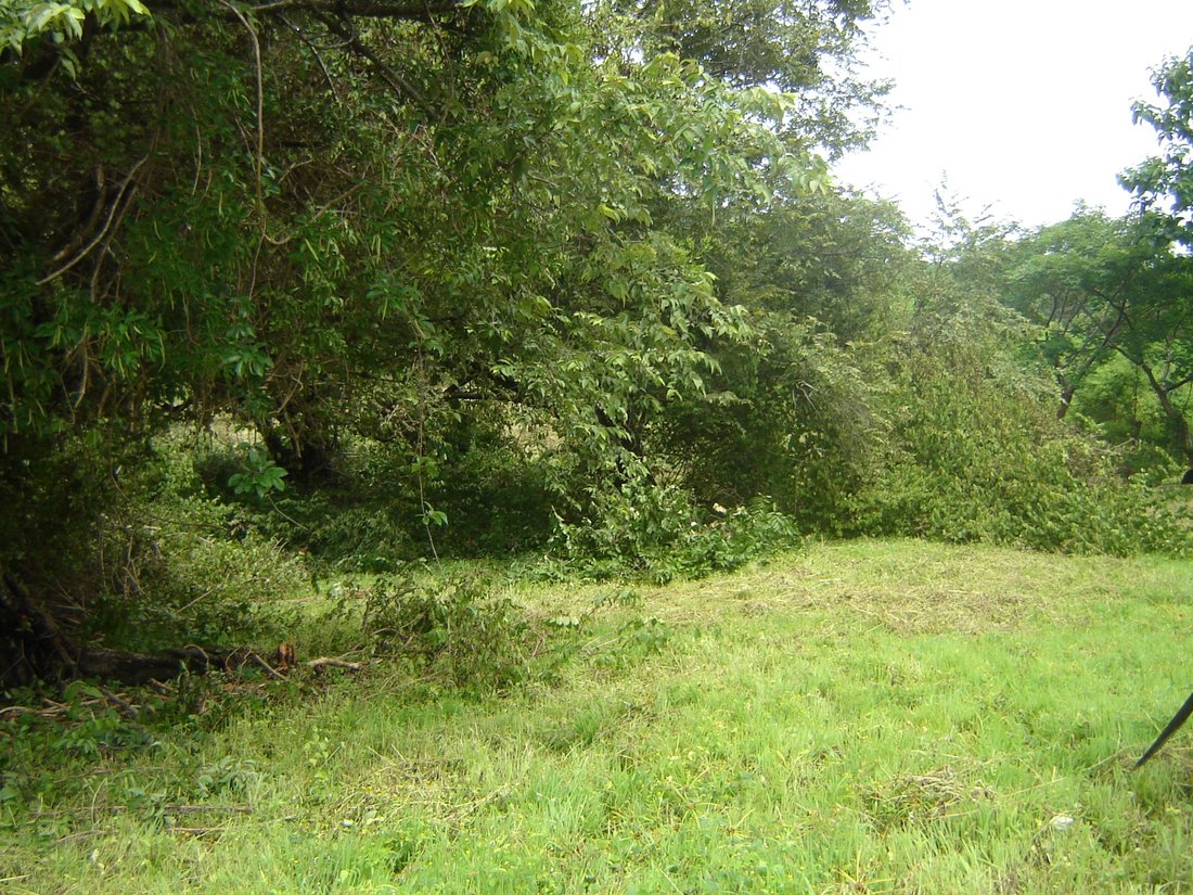 Land in Chame District, Coclé Province, Panama 5 - 17731149