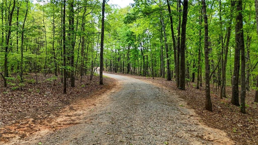 Land in Cumming, Georgia, United States 3 - 17731335