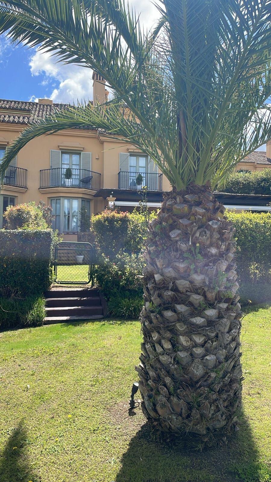 House in Sotogrande, San Roque, Andalusia 4 - 17573466