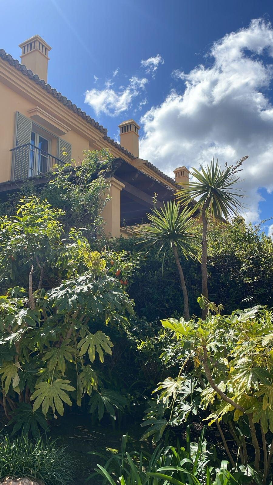 House in Sotogrande, San Roque, Andalusia 5 - 17573466