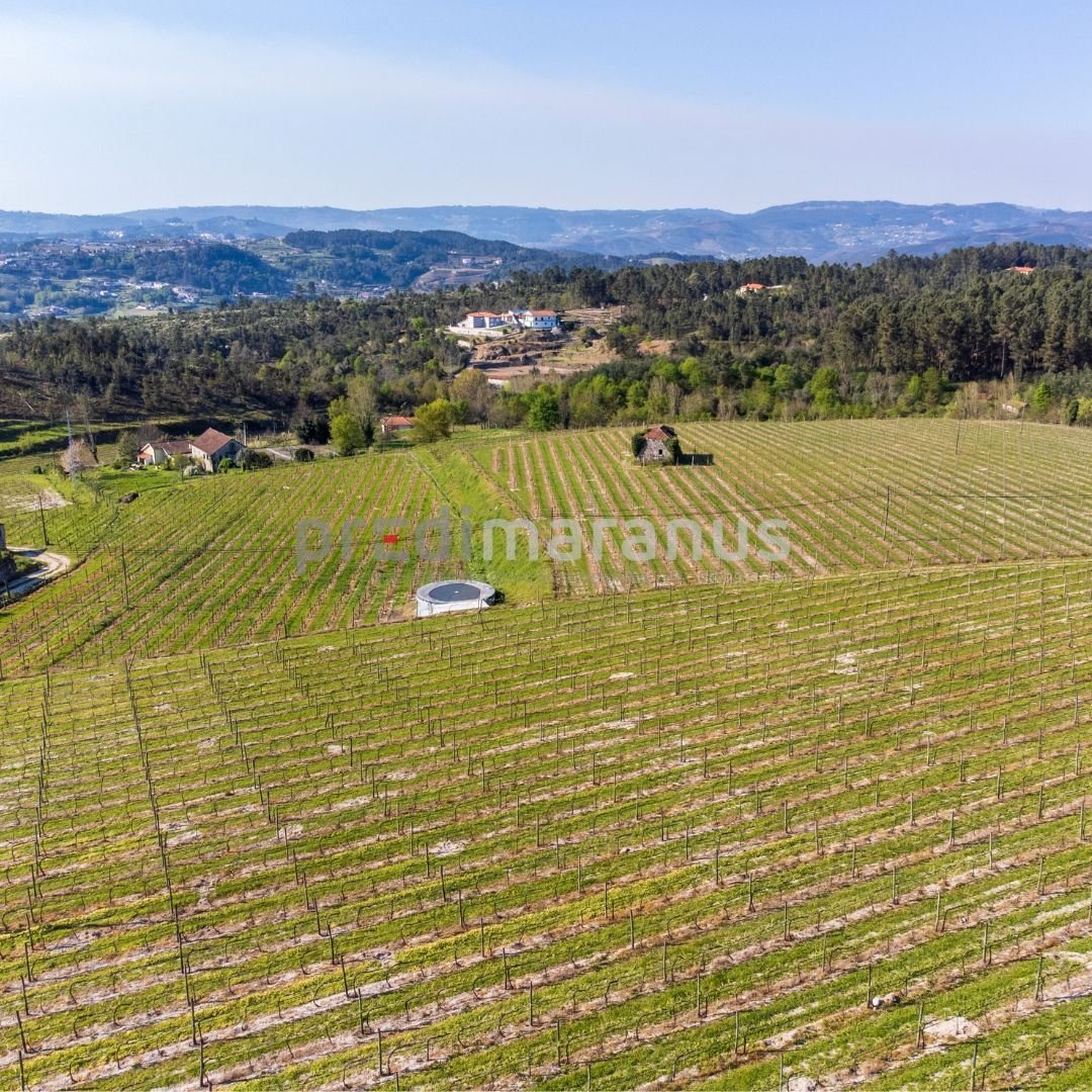 Farm Ranch in Lufrei, Distrikt Porto, Portugal 3 - 17733125