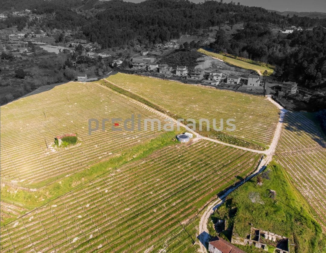 Farm Ranch in Lufrei, Distrikt Porto, Portugal 4 - 17733125
