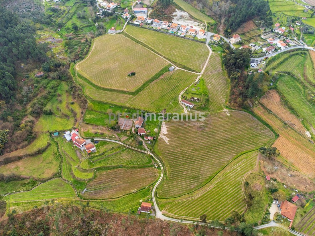 Farm Ranch in Lufrei, Distrikt Porto, Portugal 2 - 17733125