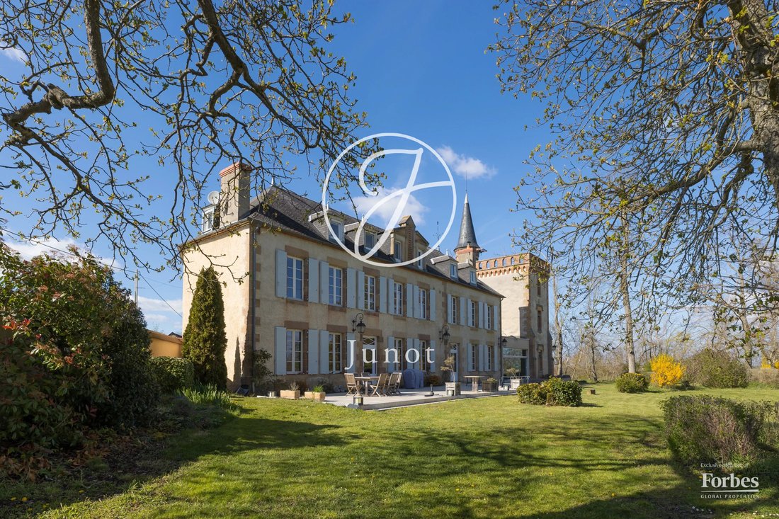 Castle in Neuvy, Auvergne-Rhône-Alpes, France 2 - 17520546