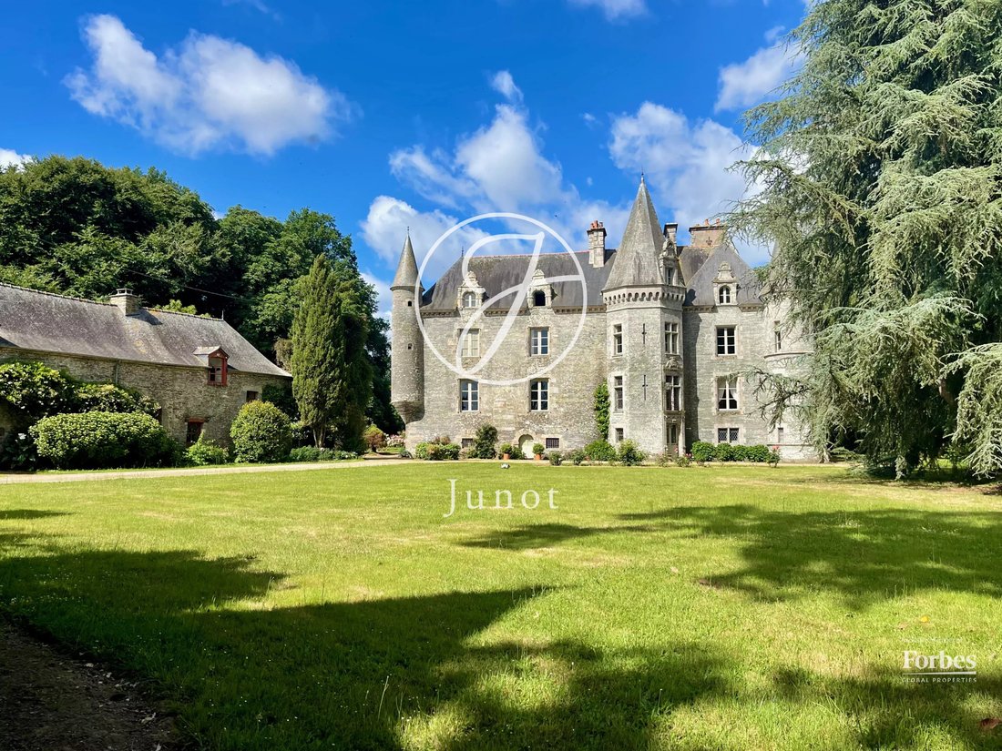 Castle in La Chapelle-Caro, Val d'Oust, France 1 - 17444734