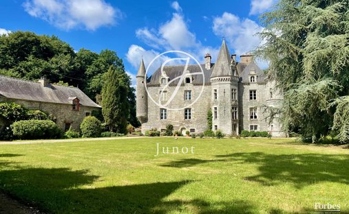 Castle in La Chapelle-Caro, Val d'Oust, France 1