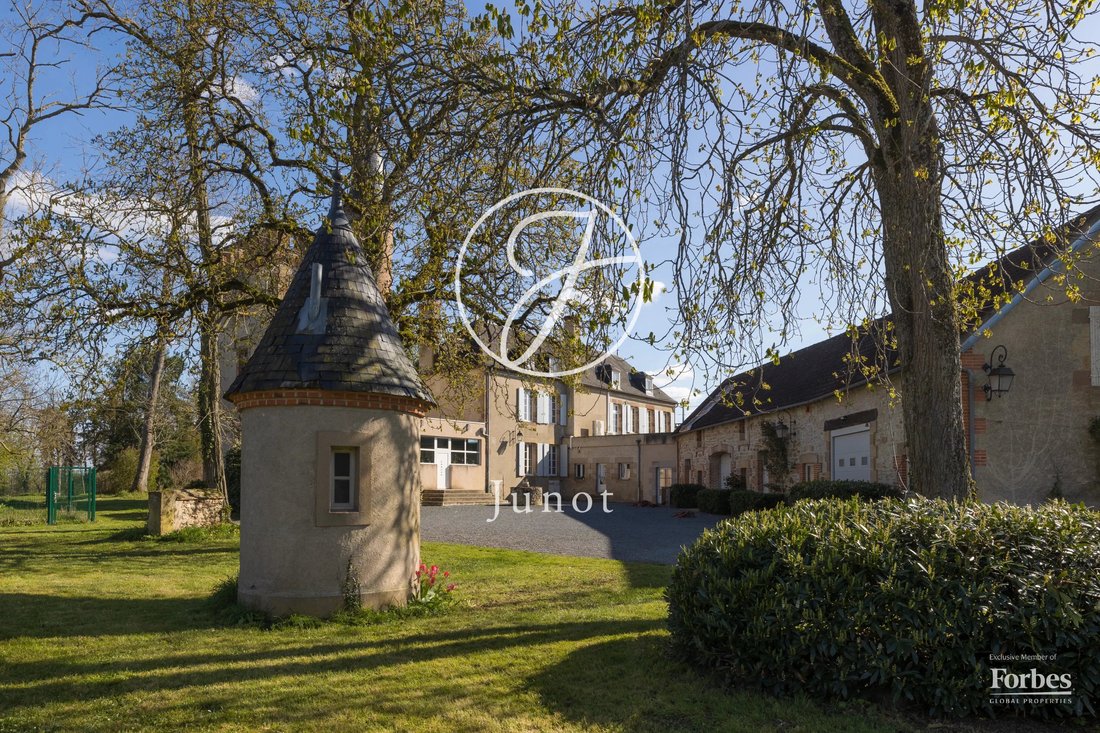 Castle in Neuvy, Auvergne-Rhône-Alpes, France 3 - 17520546