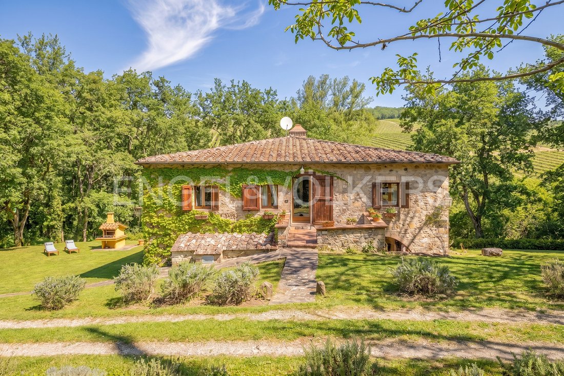 Country House in Castellina in Chianti, Tuscany, Italy 4 - 17733241