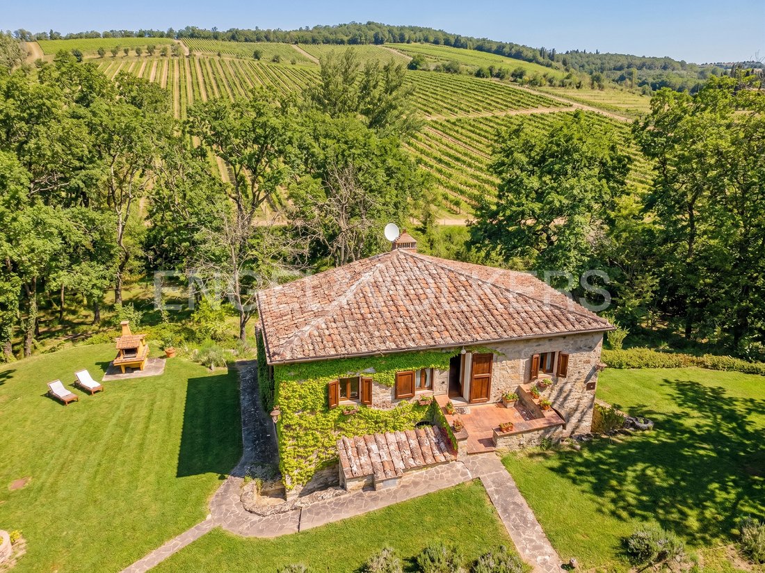 Country House in Castellina in Chianti, Tuscany, Italy 3 - 17733241