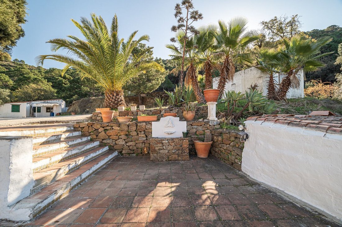 Estepona, Andalusia, Spain 5 - 17733247