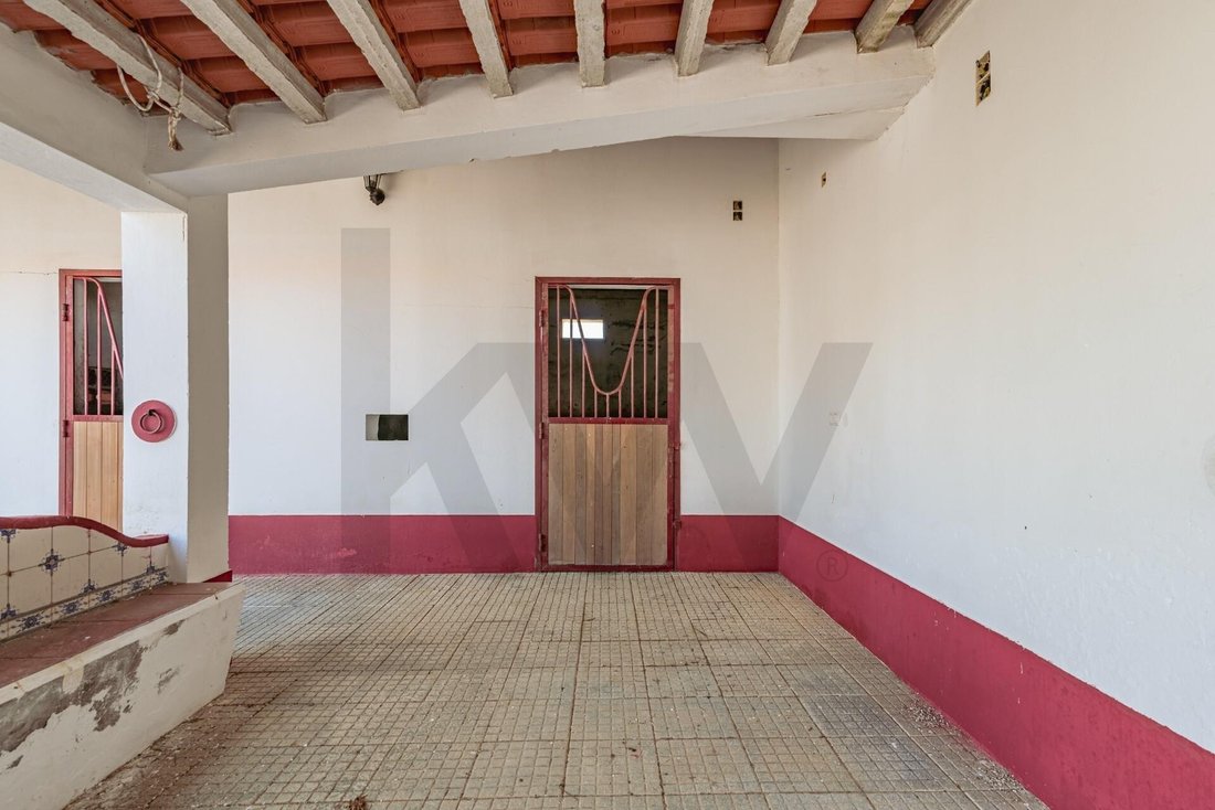Farm Ranch in Viana do Alentejo, Évora District, Portugal 4 - 17733280