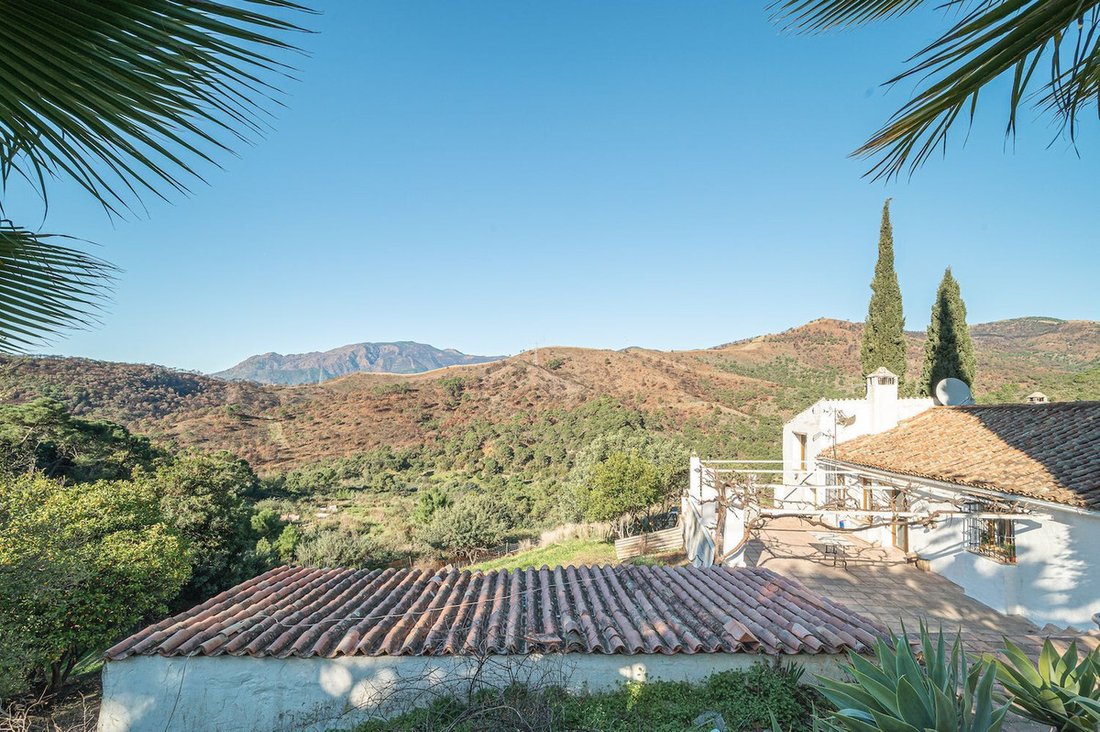 Estepona, Andalusia, Spain 1 - 17733247