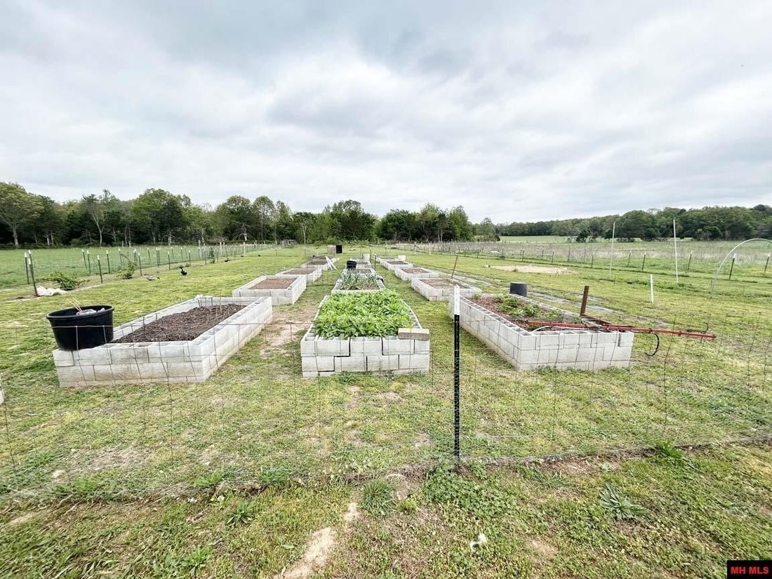 Farm Ranch in Franklin, Arkansas, United States 3 - 17733269
