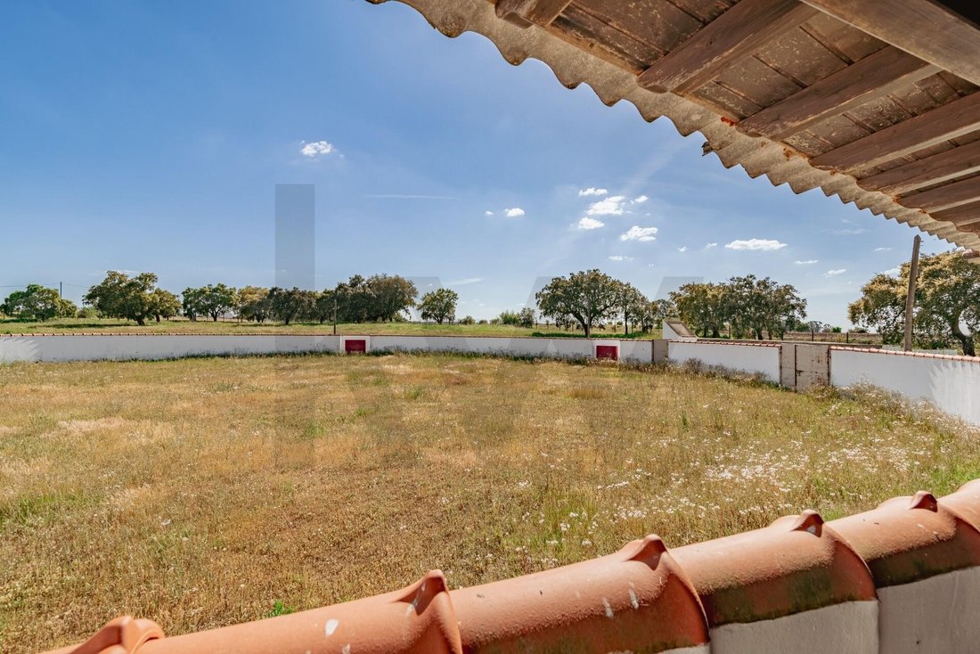 Farm Ranch in Viana do Alentejo, Évora District, Portugal 2 - 17733280