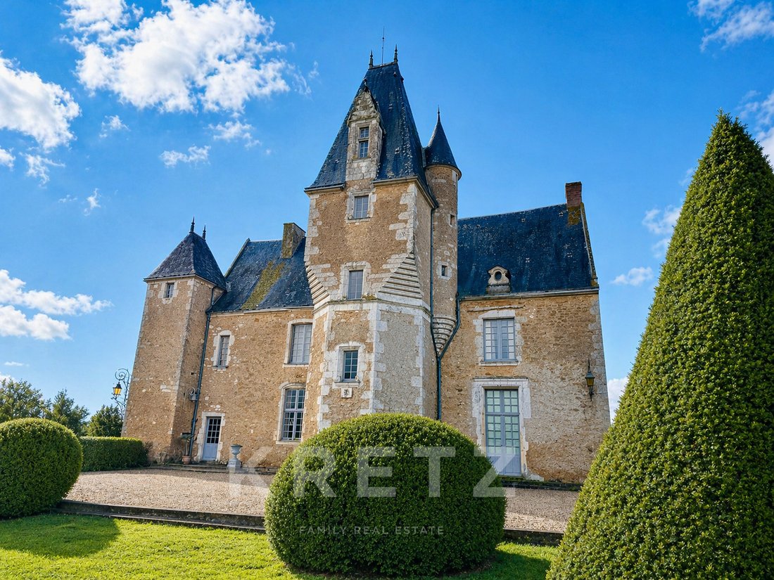 Castle in Noyen-sur-Sarthe, Pays de la Loire, France 1 - 17733459