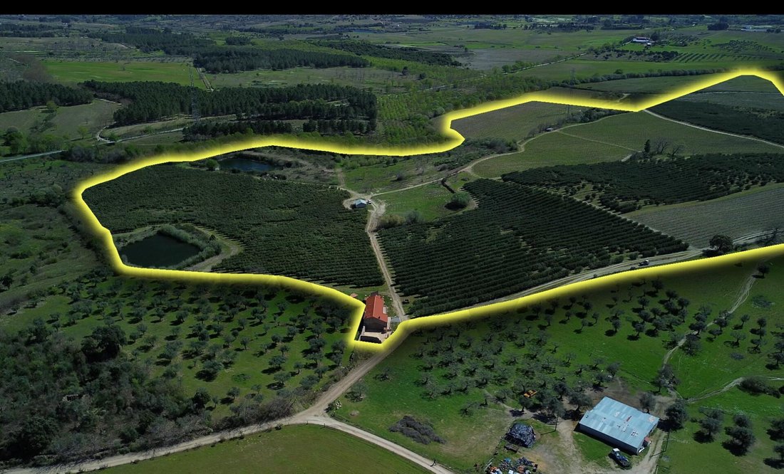 Farm Ranch in Alpedrinha, Castelo Branco District, Portugal 4 - 17733258