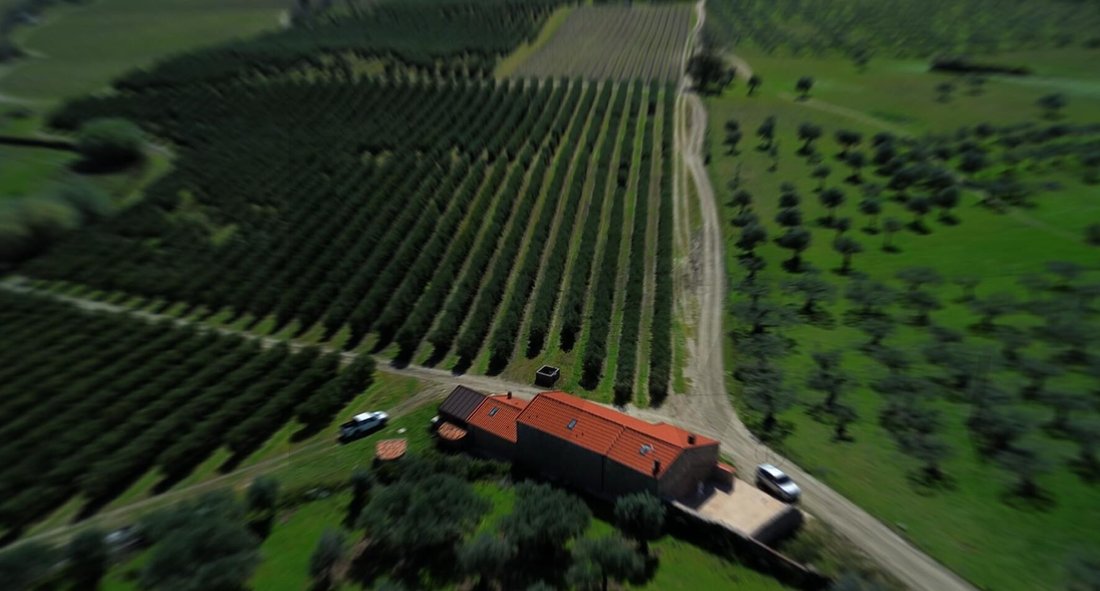 Farm Ranch in Alpedrinha, Castelo Branco District, Portugal 1 - 17733258