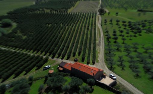 Azienda agricola a Alpedrinha, Distretto di Castelo Branco, Portogallo 1