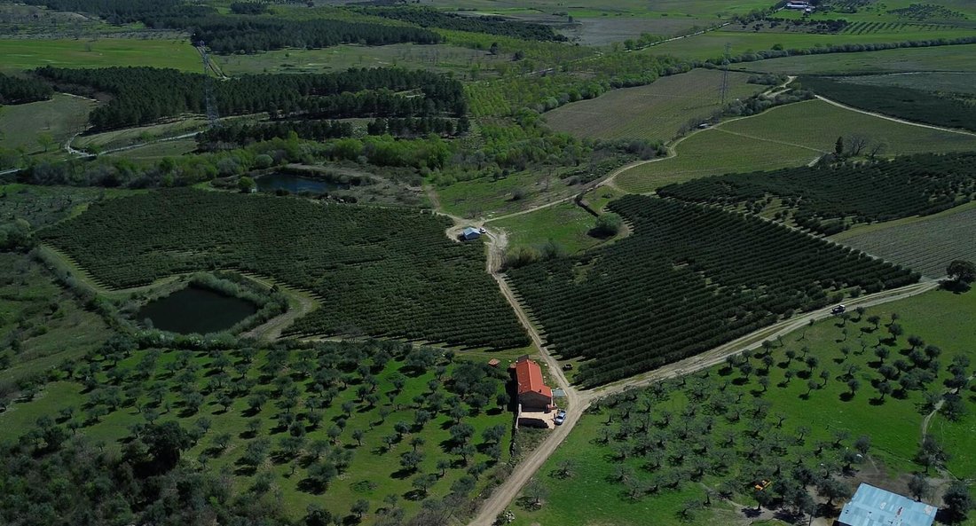 Farm Ranch in Alpedrinha, Castelo Branco District, Portugal 3 - 17733258
