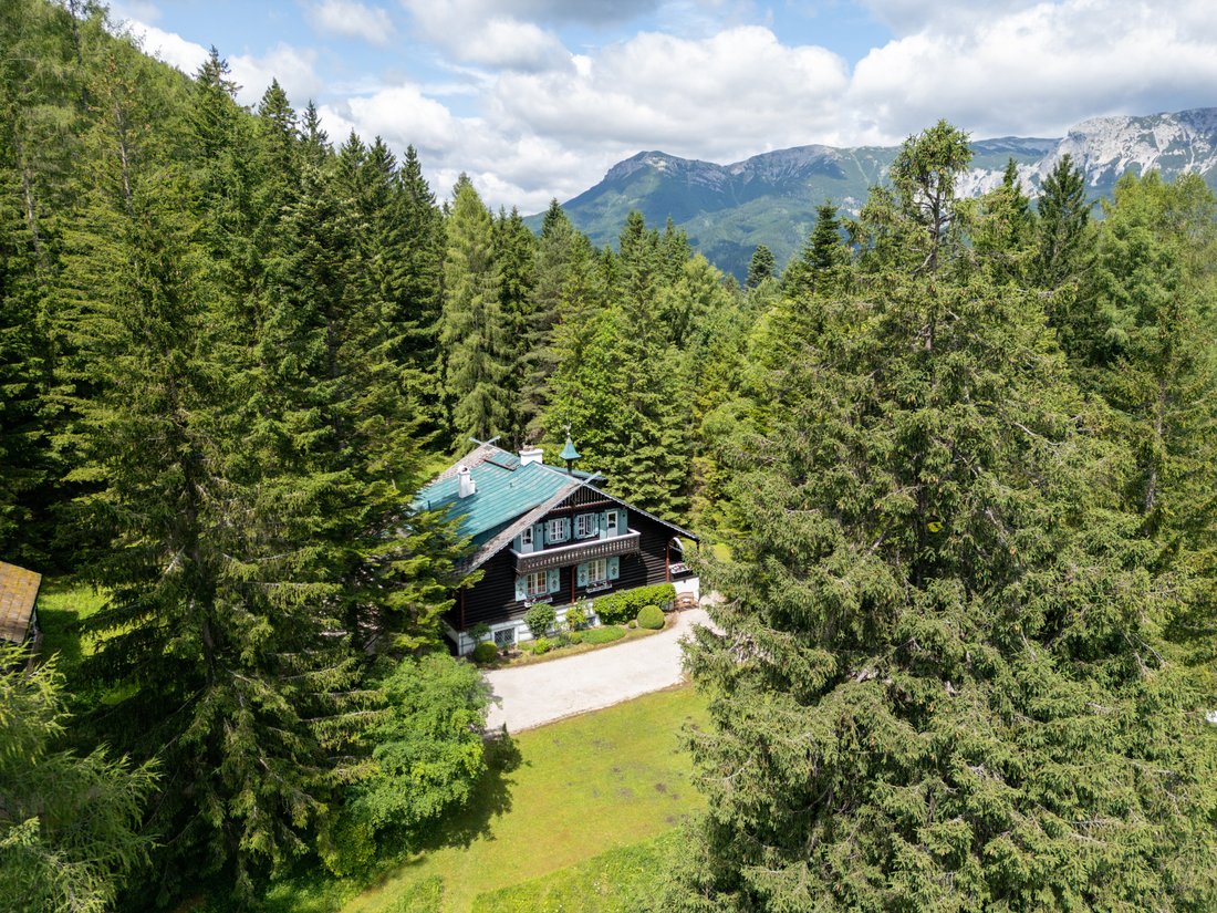 Country House in Breitenstein, Lower Austria, Austria 1 - 17733549