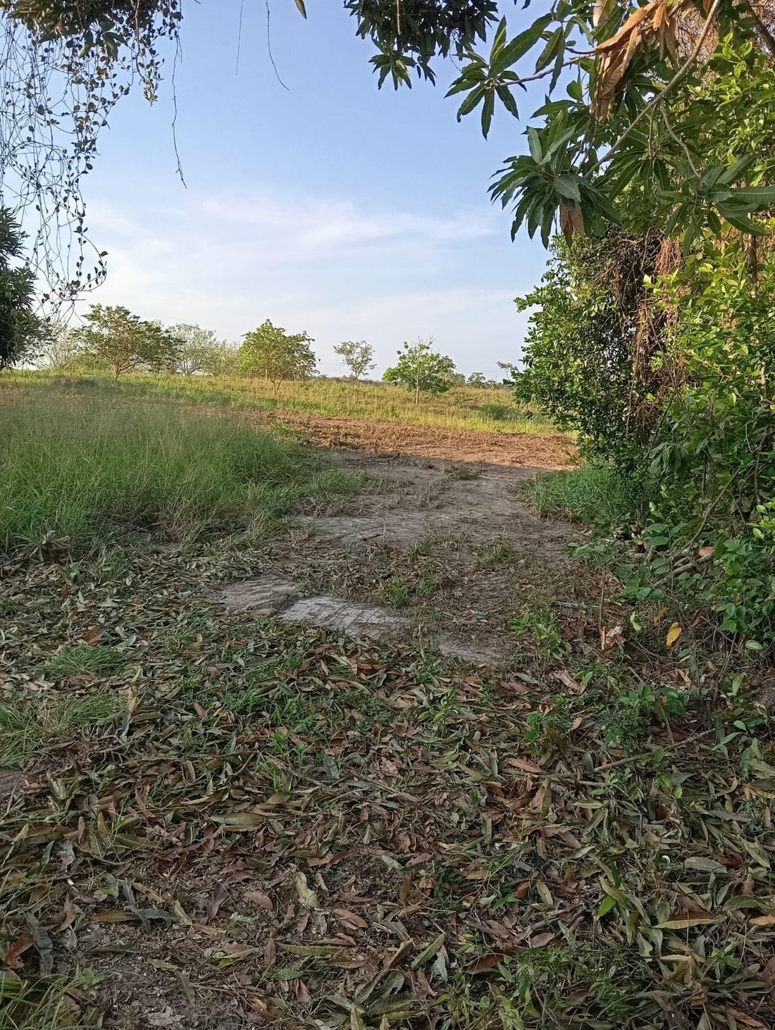 Land in San Carlos, Panama 3 - 17733593
