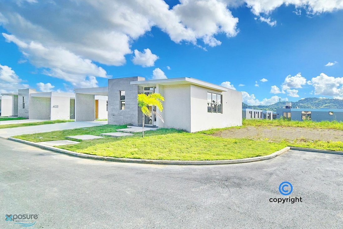 Haus in Juncos, Juncos, Puerto Rico 1 - 17733600