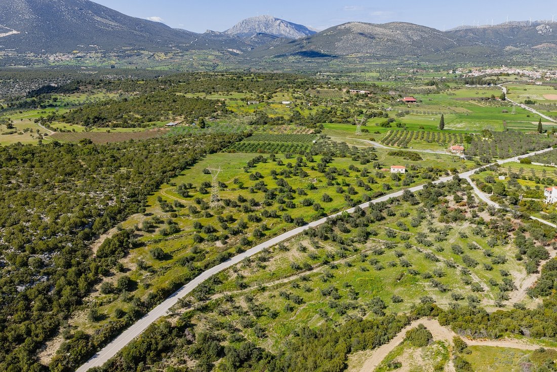 Land in Community of Midea, Midea, Griechenland 2 - 17734132
