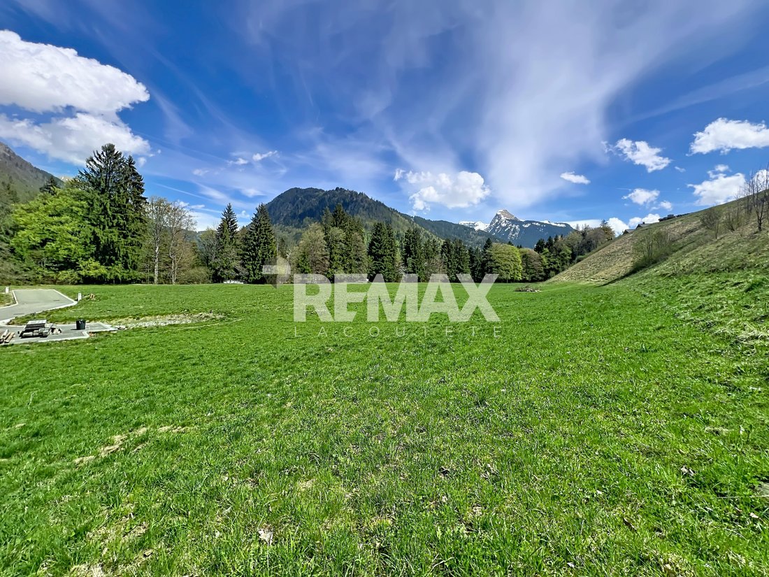 Land in Montriond, Auvergne-Rhône-Alpes, France 1 - 17734168